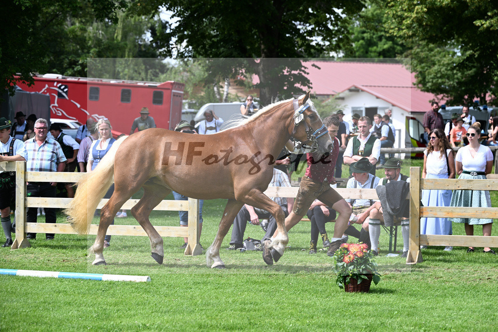 Kat-Nr. 78 Helvicia v. Veitel_Lamecker_22241378 | hf-fotografie - Realizzato con Pictrs.com