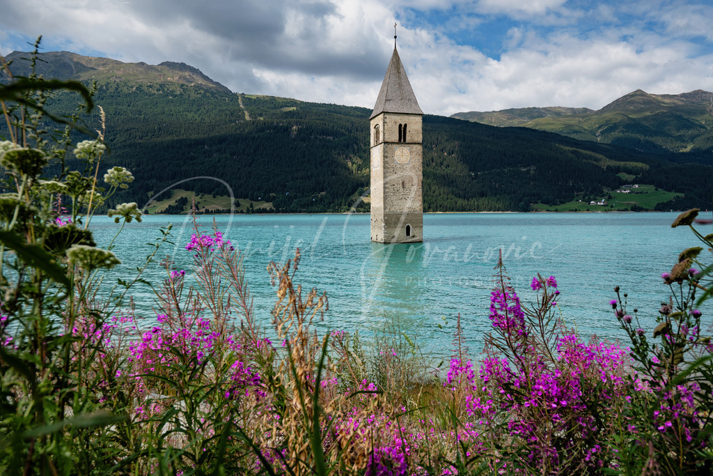 Sommer | Sommer im Vinschgau am Kirchturm von Graun