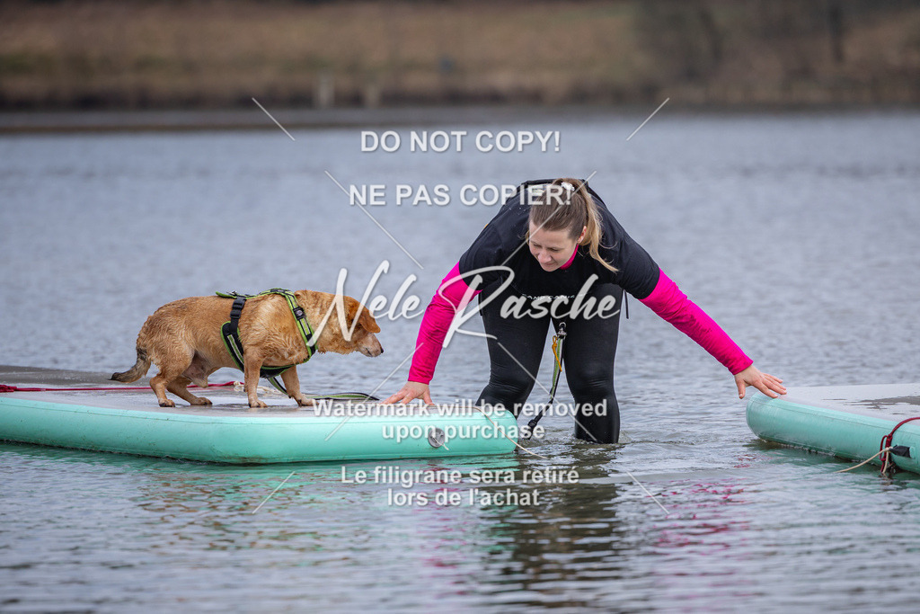 nelerasche_Hulsbeek_Sa1600-1700_566 | nelerasche