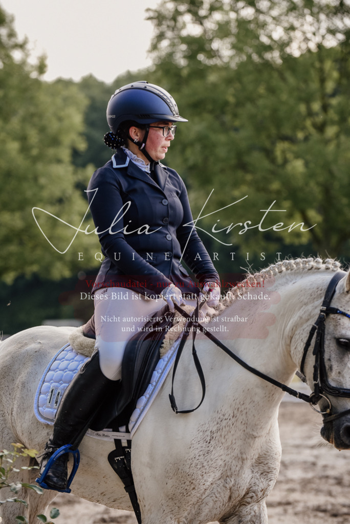 DSC_8000 | Pferde- und Turnierfotografie in Westsachsen. Pferdeportraits, Auftragszeichnungen und intuitive Kunst.