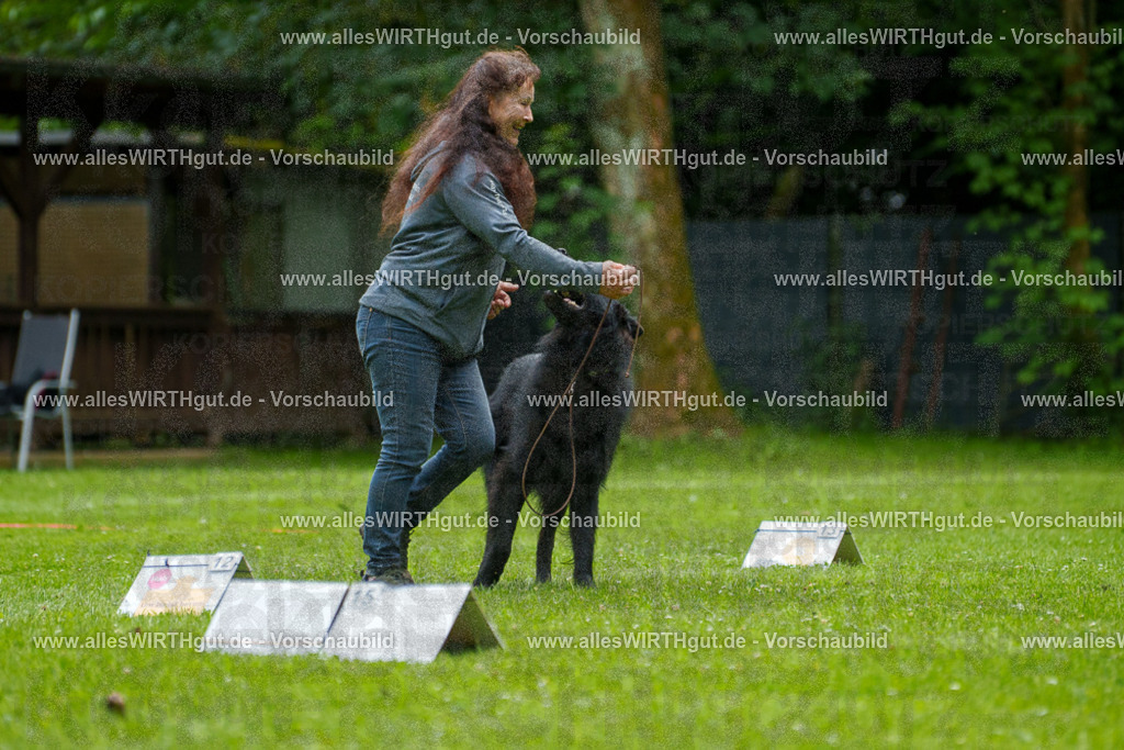 @allesWIRTHgut_Tierfotografie - www.allesWIRTHgut.de - 7R501738 | Professionelle Tierfotografie in Mönchengladbach von Daniel Wirth (allesWIRTHgut). Liebevolle & natürliche Bilder von Hunden & Katzen für unvergessliche Erinnerungen.