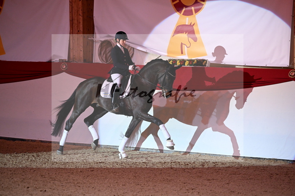 San__Haug_2254485 | hf-fotografie - Realisiert mit Pictrs.com