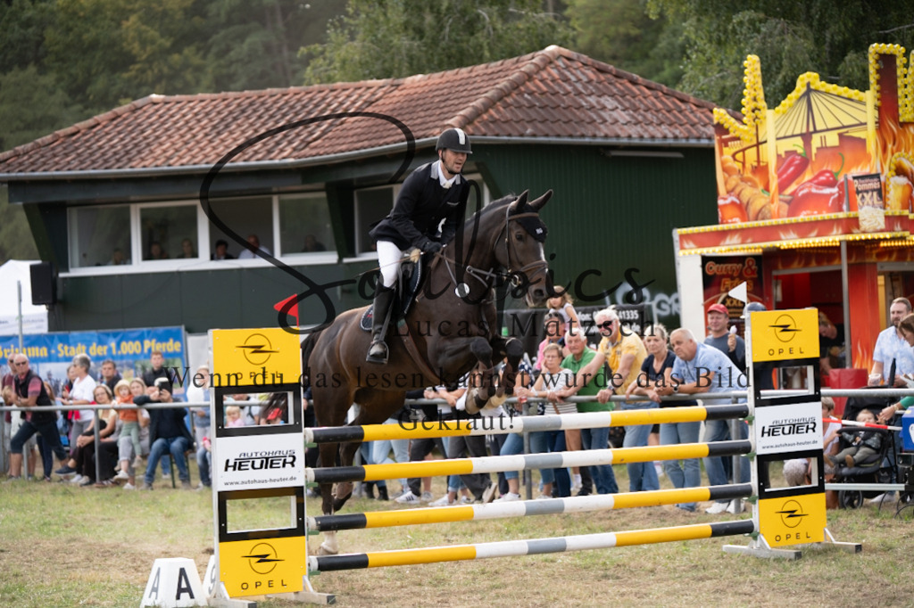 A7V09570 | Pferdefotograf