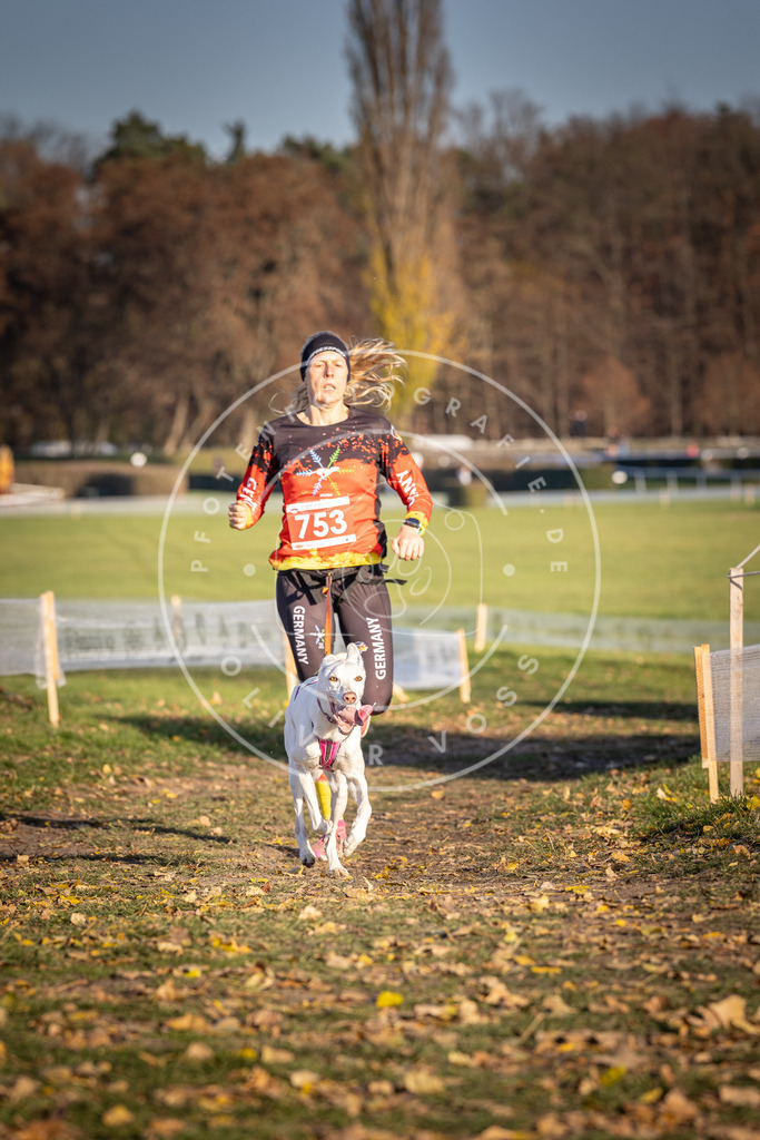 CaniXpix_DV3A2491 | Hundefotografie, Tierfotograf, Pfotenfotografie, Fotoshooting Hund, Hunde Portrait, Hundesport, Hundeportraits, Heideshooting, Hunde, Sportfotograf, Hundefotograf, Turnierhundsport, THS,  - Realisiert mit Pictrs.com