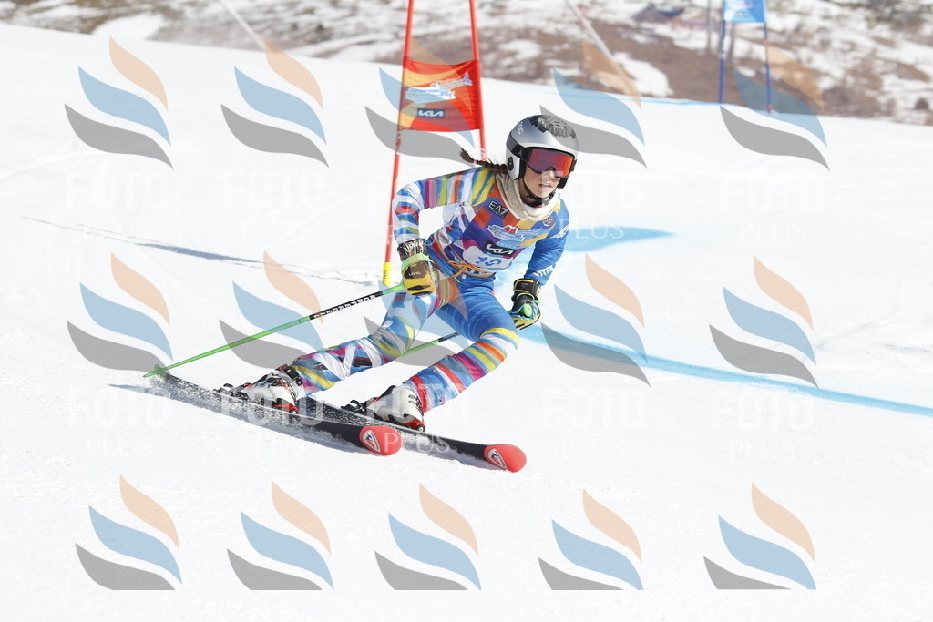 _U3G8655 | holidayphoto