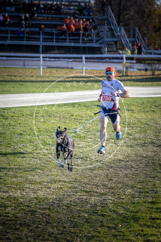 CaniXpix_DV3A2796 | Hundefotografie, Tierfotograf, Pfotenfotografie, Fotoshooting Hund, Hunde Portrait, Hundesport, Hundeportraits, Heideshooting, Hunde, Sportfotograf, Hundefotograf, Turnierhundsport, THS,  - Realisiert mit Pictrs.com