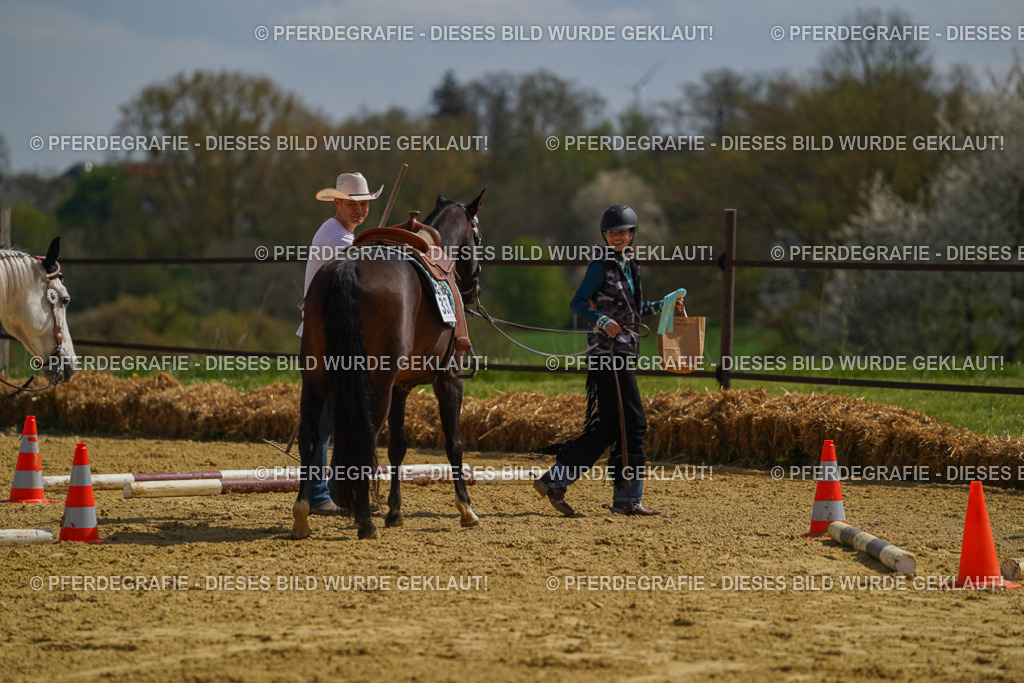 DSC04813 | Pferdegrafie