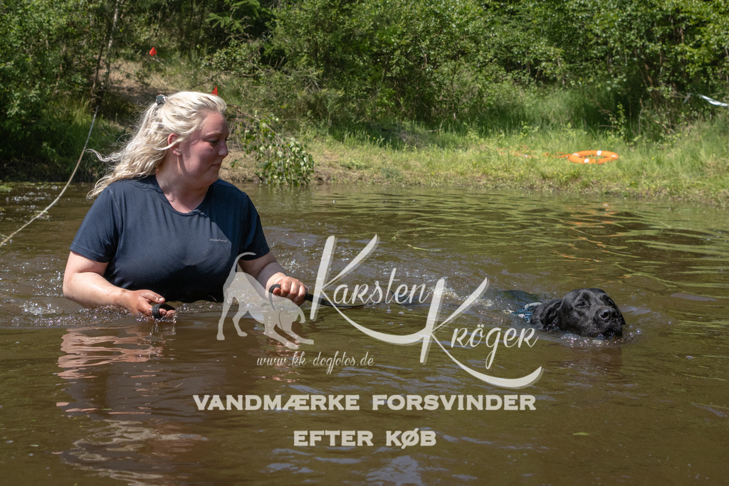 1402DKK994983 | kk-dogfotos