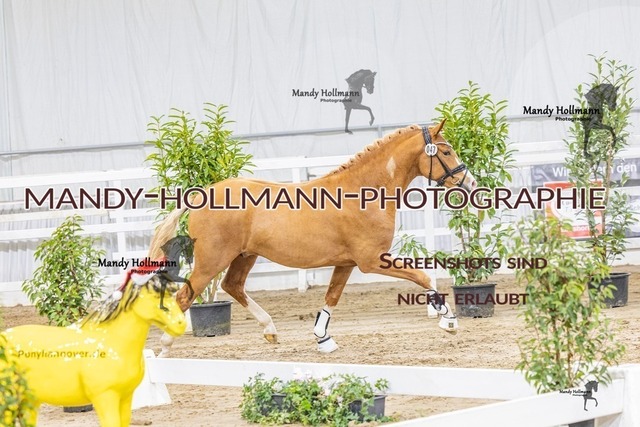 47 (17 von 56) | mandyhollmannphotographie