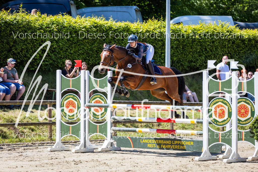 Donop24-Stil-L-033 | MomenTaufnahmen Pferdesportfotos