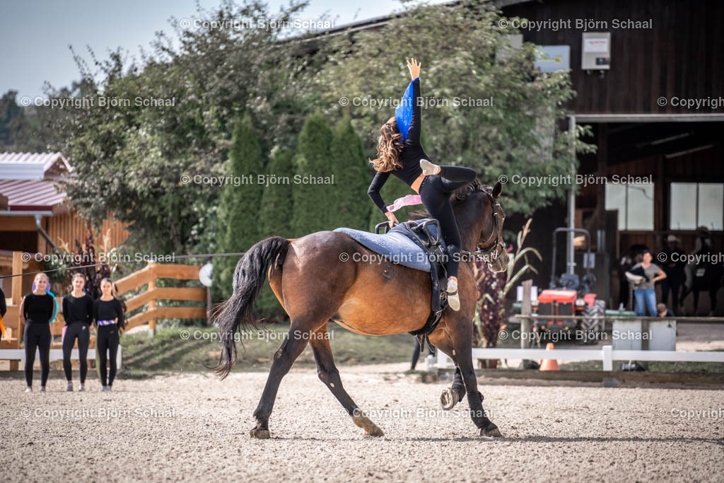 KBB09779 | BS-foto
