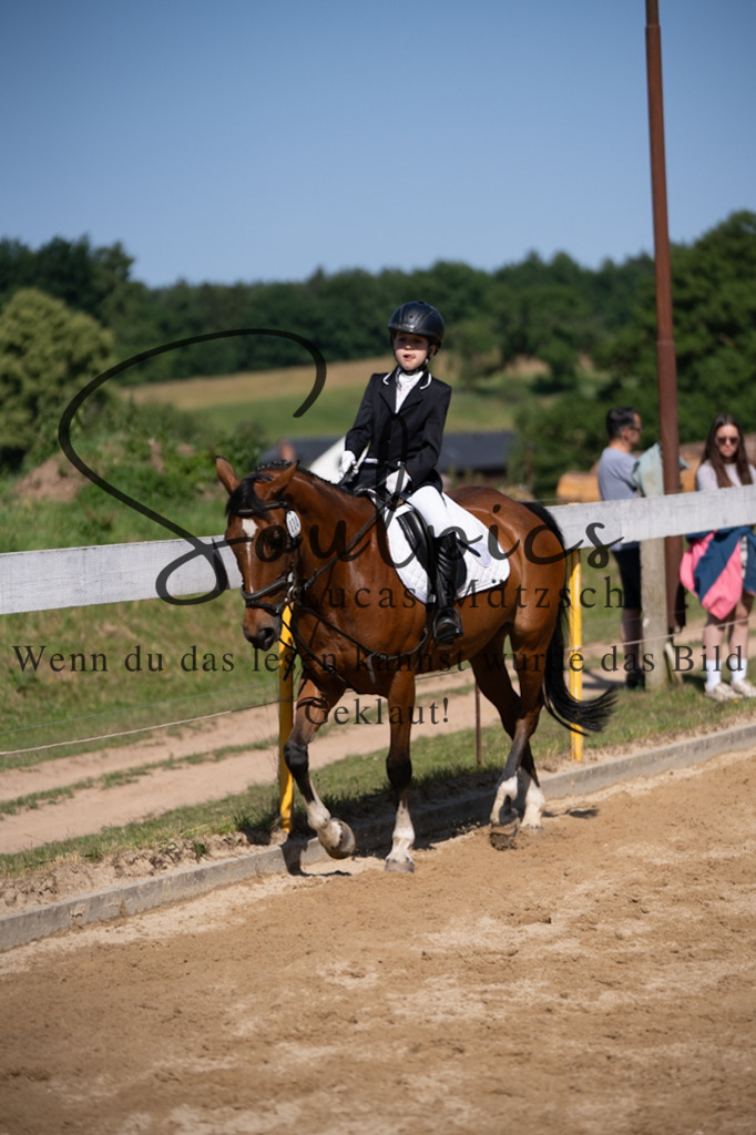 A7V07771 | Turnier/Reitfotograf