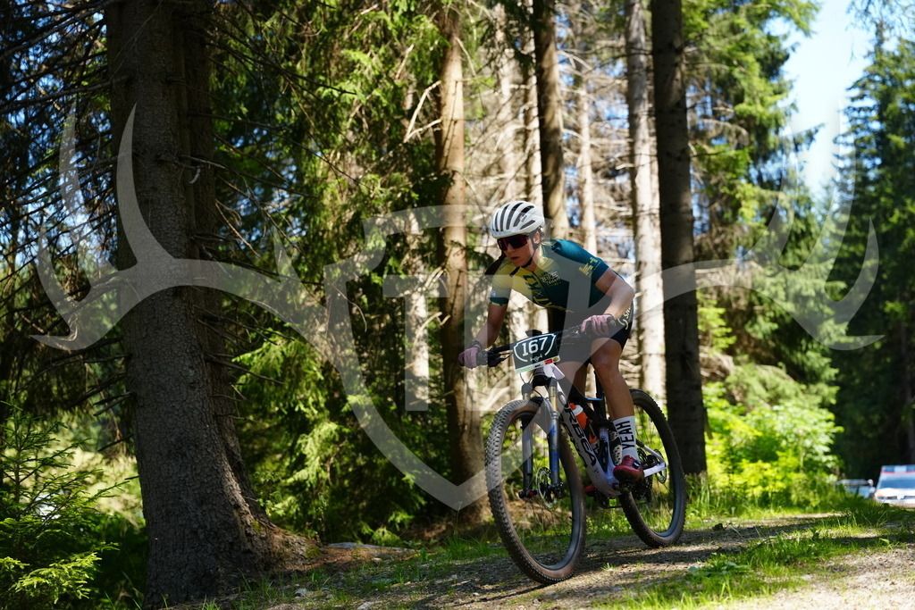 FC101523 | Fotogalerie der Treibjagd im Dunkelwald - Dein MTB Etappenrennen im Erzgebirge - Realisiert mit Pictrs.com
