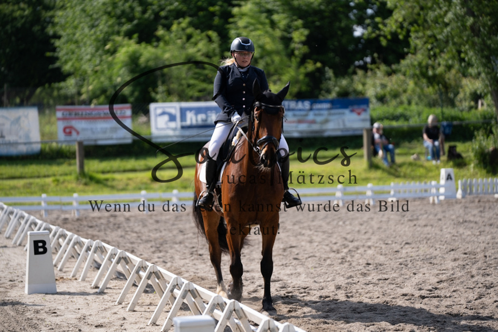 A7V02465 | Pferdefotograf