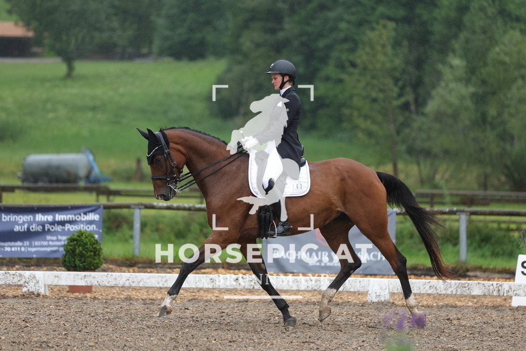 0P6A9647 | Willkommen bei Brunnmayr - Design & Fotografie – Ihrem Spezialisten für Reitturniere und Pferdeveranstaltungen in Oberösterreich, Salzburg und Bayern! Seit über 17 Jahren sind wir leidenschaftlich dabei.