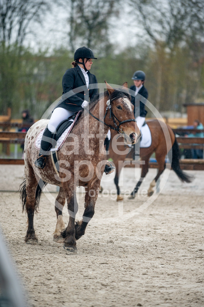 DSC_4910 | sattelsport - Realisiert mit Pictrs.com