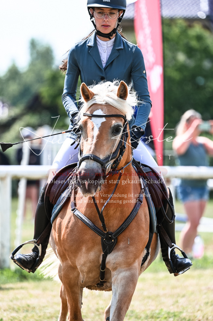 DSC_8797 | Pferde- und Turnierfotografie in Westsachsen. Pferdeportraits, Auftragszeichnungen und intuitive Kunst.