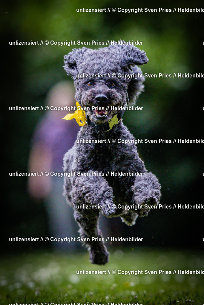 Sven Pries | 2025-05-29 - Pudelrennen KA-Durlach - Realisiert mit Pictrs.com