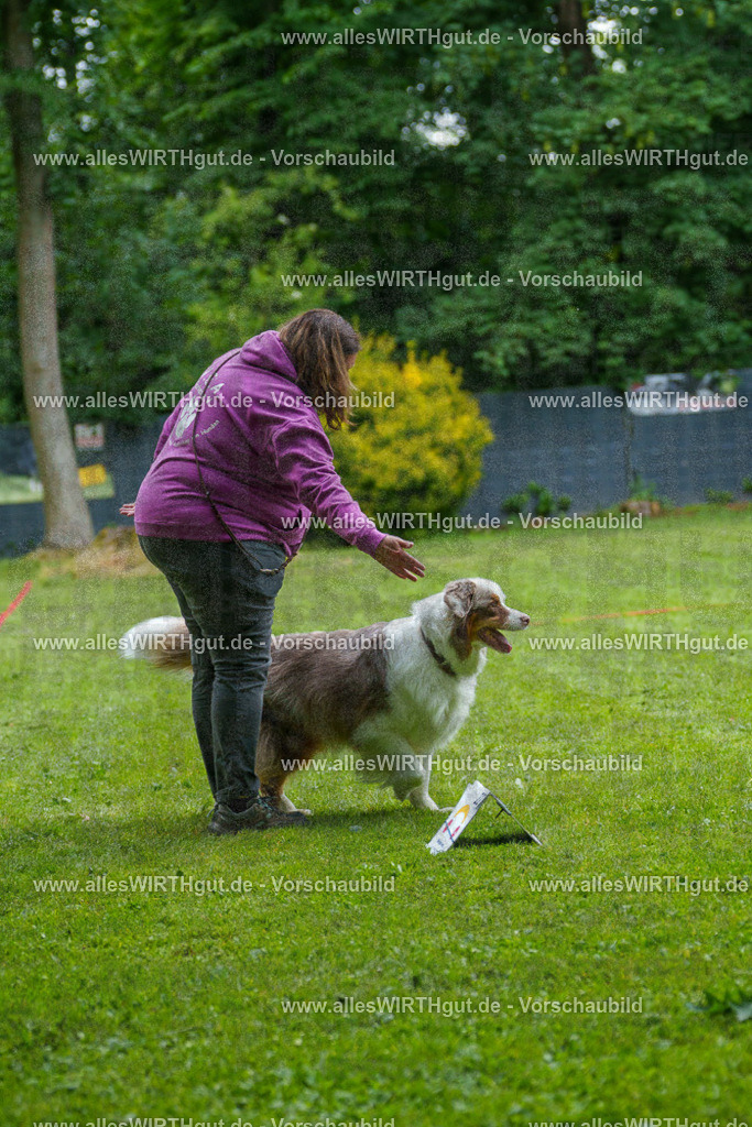 @allesWIRTHgut_Tierfotografie - www.allesWIRTHgut.de - 7R503340 | Professionelle Tierfotografie in Mönchengladbach von Daniel Wirth (allesWIRTHgut). Liebevolle & natürliche Bilder von Hunden & Katzen für unvergessliche Erinnerungen.