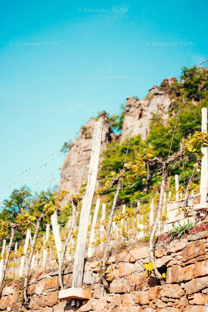 foto_c_pfeffel-partner-0194-R52_2281 | alexander-pfeffel - Realisiert mit Pictrs.com