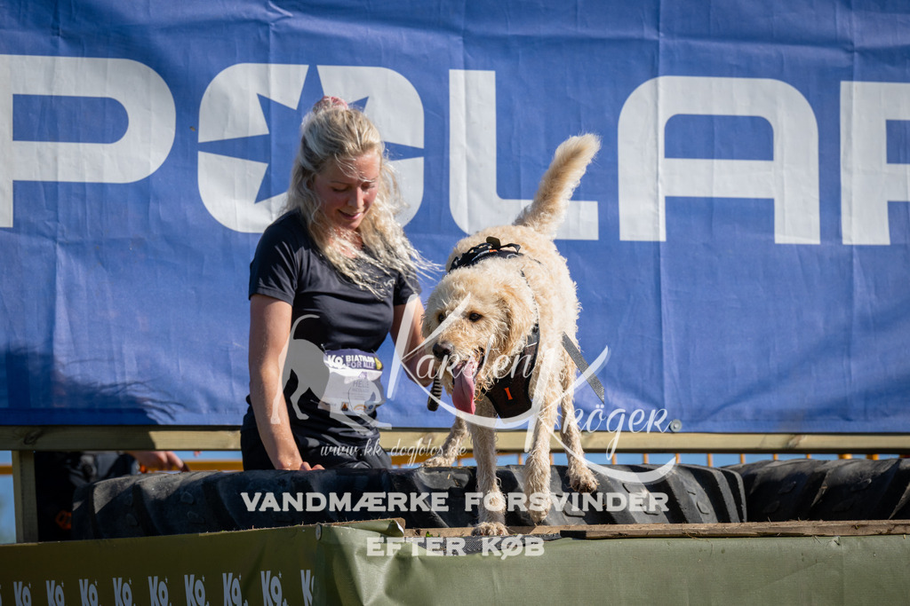 1005_ZZ97456 | kk-dogfotos