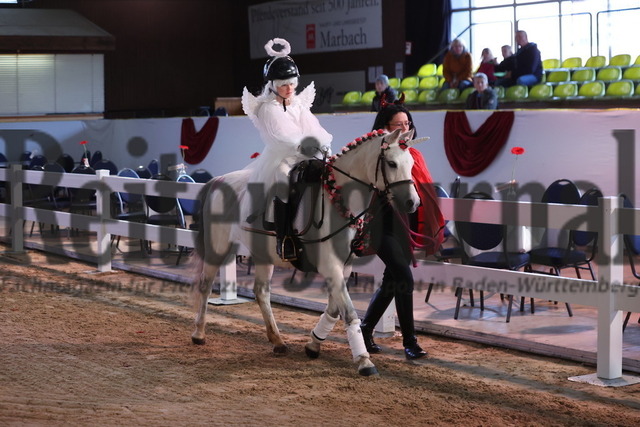 Marbacher_Wochenende_2023_Finale_Kids-Cup_Führzügelklasse_Gruppe_02 (67) | Alle Fotos der Reiterjournal Fotografin Doris Matthaes im Reiterjournal Online-Fotoshop. - Realisiert mit Pictrs.com