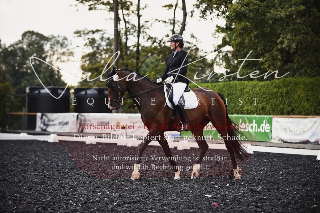 DSC_4028 | Pferde- und Turnierfotografie in Westsachsen. Pferdeportraits, Auftragszeichnungen und intuitive Kunst.