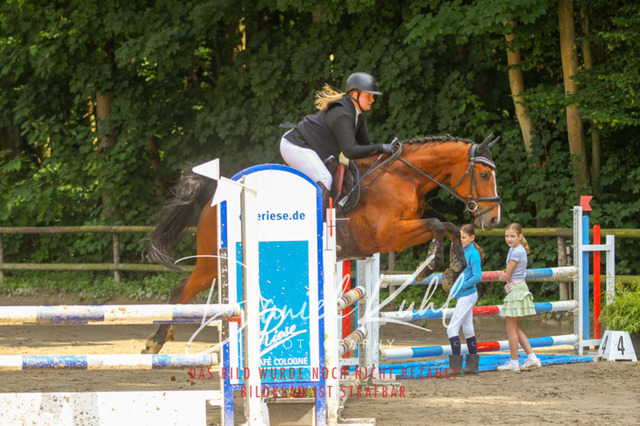 DKP45101 | Turniersportfotografie; Pferdefotografie; Dressurfotografie