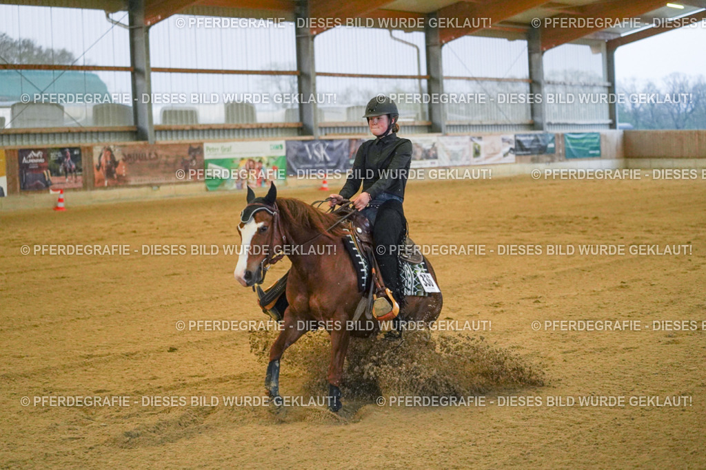 DSC09547 | Pferdegrafie