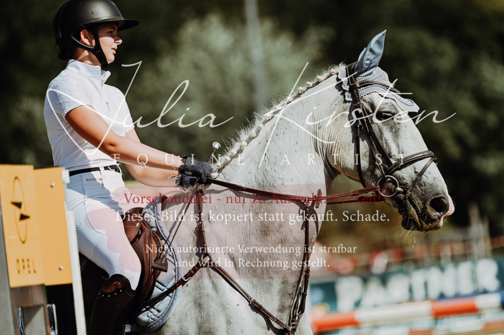 DSC_9570 | Pferde- und Turnierfotografie in Westsachsen. Pferdeportraits, Auftragszeichnungen und intuitive Kunst.