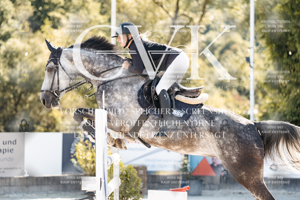 CK904654 | Turnierfotografie Pferdefotografie Trier Rheinland-Pfalz Pferdesport Reitsport Tierfotografie Sportfotografie Pferdevideo Pferdevideografie Equestrianvideography equestrianphotography  - Realisiert mit Pictrs.com