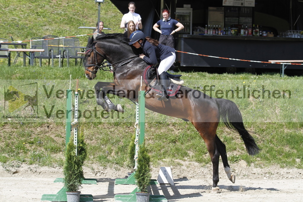 _MG_9593 | equestrian-live-com