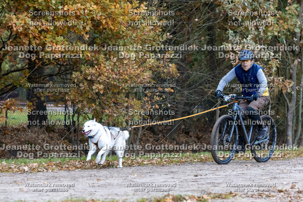 Dog Paparazzi - SD CaniX Championship 2025-224 | Dog Paparazzi Jeanette Grottendiek Fotografie & Videografie - Realisiert mit Pictrs.com