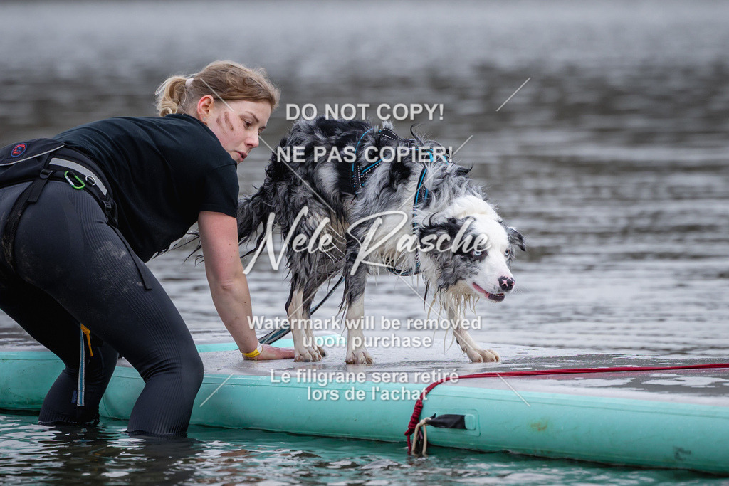 nelerasche_Hulsbeek_Sa1600-1700_490 | nelerasche