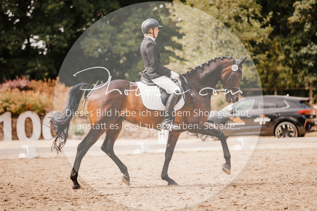 3I6A6242 | Stimmungsvolle Portraits und Reitsportfotografie im Ruhrgebiet und im Münsterland.

Pferdefotografie, Hundefotografie, Tierfotografie, Reportagen, Portraits von Tier und Mensch, Turnierfotografie in Bochum, Recklinghausen, Marl, Haltern am See, Dülmen.. - Realisiert mit Pictrs.com