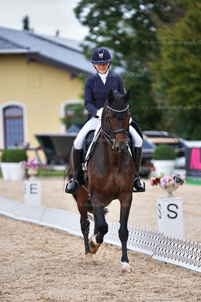 8_2-056-DRESSUR S_  -Marixx-4592 | working equitationturnier fotograf videograf stoibphotography marixx film working equitation deutschland reitsport turnierfotografie eventfotografie equestrian events