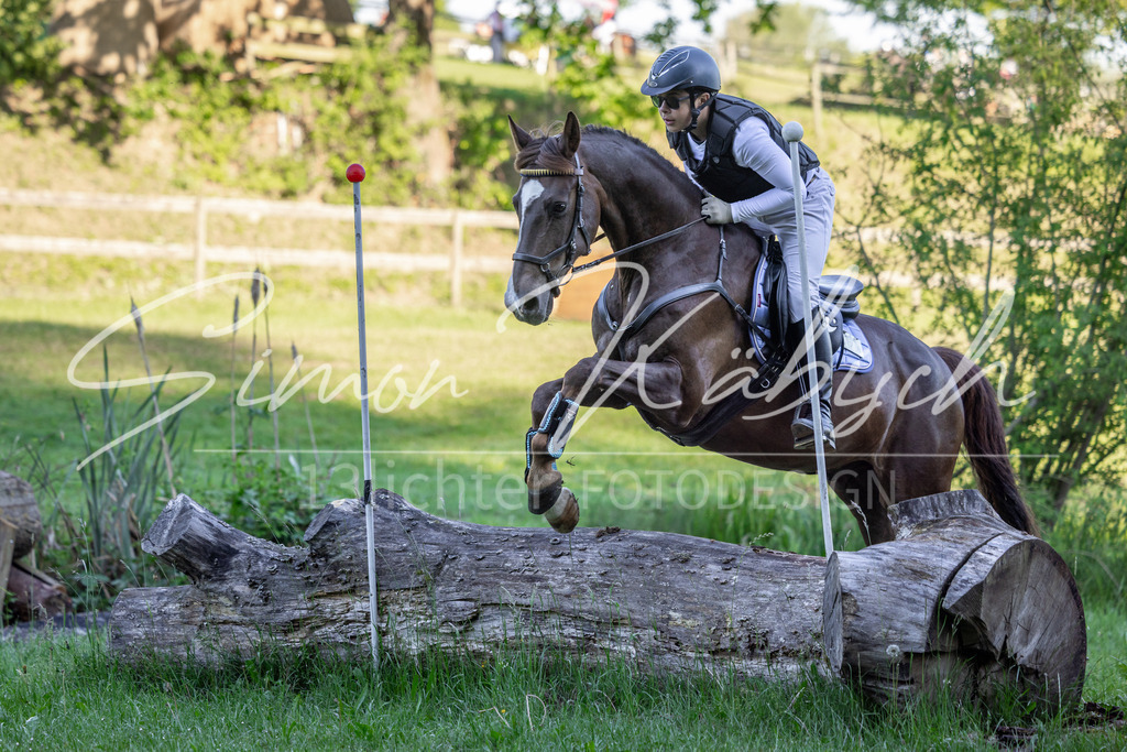 20260523-_3LI5988 | Tierfotografie Pferde, Hunde, Katzen, Haustiere.
Turnierfotografie Reitturniere, Reiten, Springreiten, Dressur in Hanau, dem Main-Kinzig-Kreis und dem Rhein-Main- Gebiet um Frankfurt