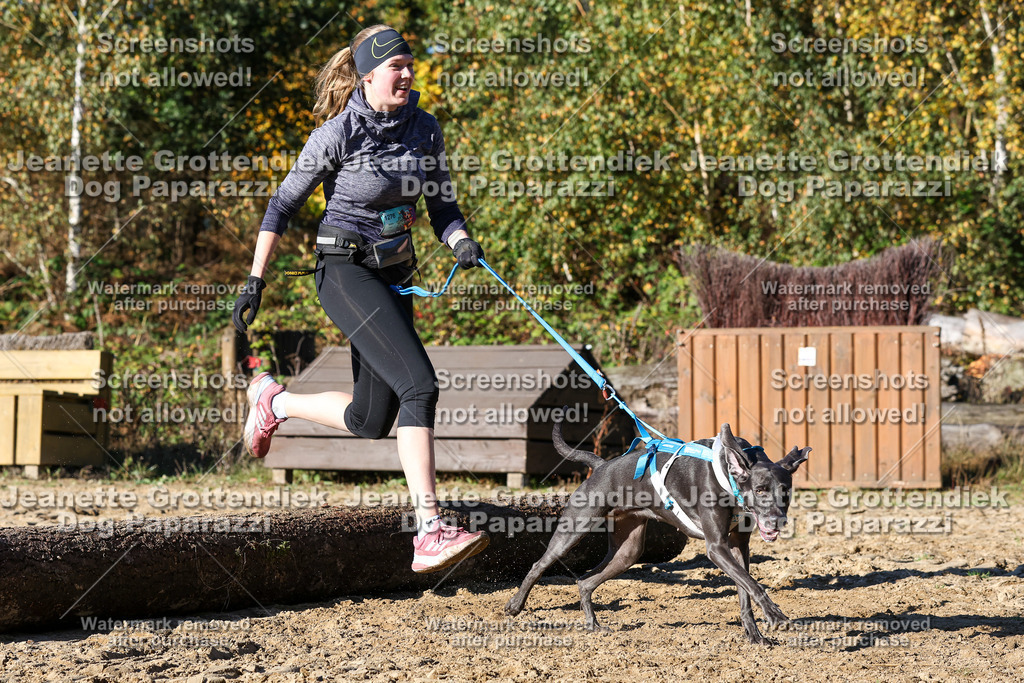 Dog Paparazzi - Strongdog 10-25-2015 | Dog Paparazzi Jeanette Grottendiek Fotografie & Videografie - Realisiert mit Pictrs.com
