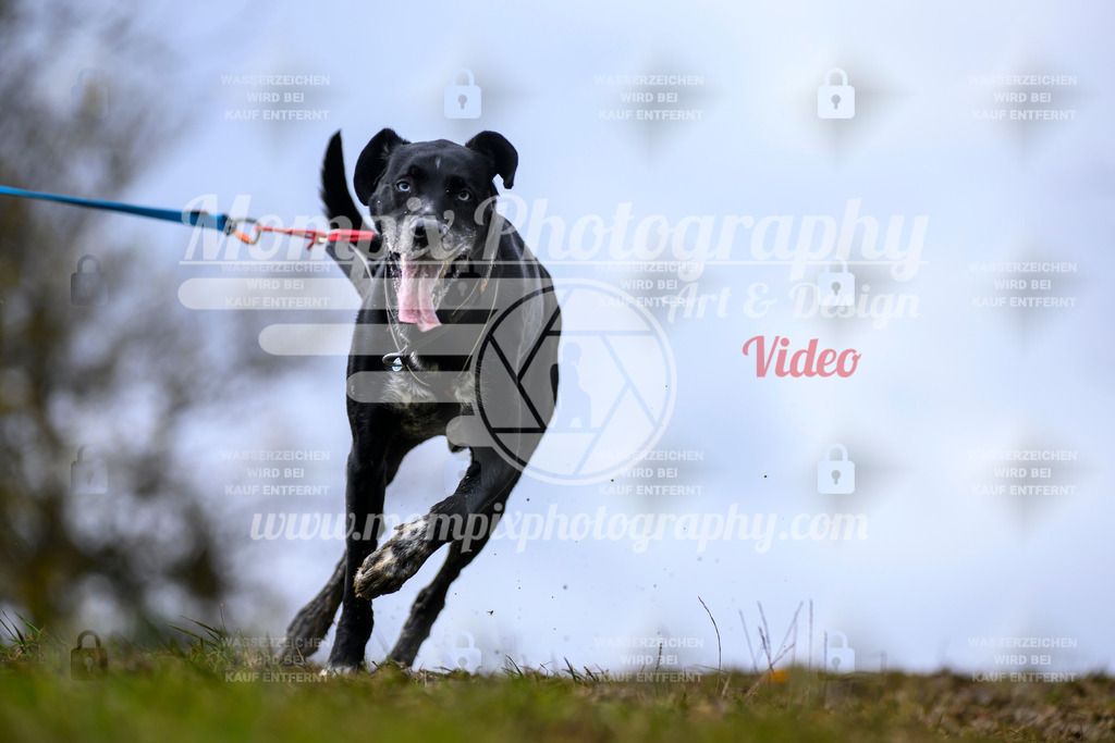 MompixPhotography_2OATB_SO_Run-61 | PayLife