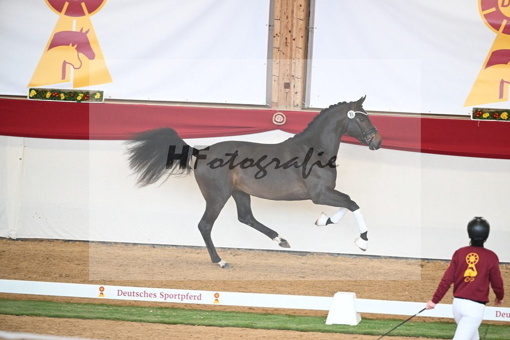 Kat.-Nr. 78 v. Springbank II VH_Reichert_2250758 | hf-fotografie - Realisiert mit Pictrs.com