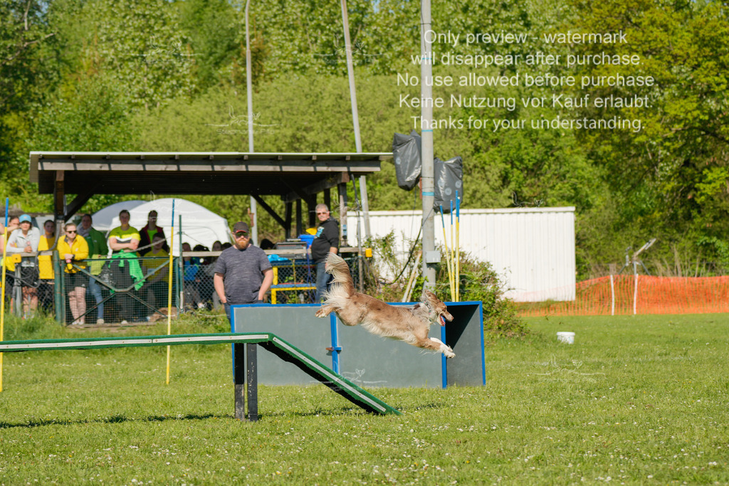 Sa_CSC-229 | stephaniefillaphotographie - Realisiert mit Pictrs.com