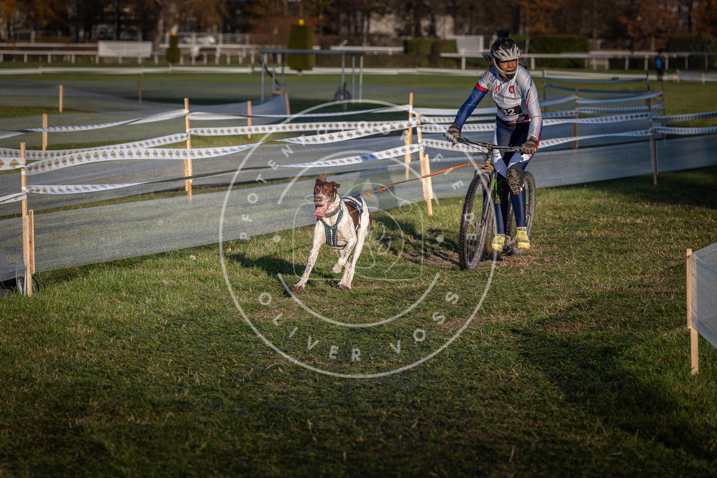 CaniXpix_0L8A3716 | Hundefotografie, Tierfotograf, Pfotenfotografie, Fotoshooting Hund, Hunde Portrait, Hundesport, Hundeportraits, Heideshooting, Hunde, Sportfotograf, Hundefotograf, Turnierhundsport, THS,  - Realisiert mit Pictrs.com