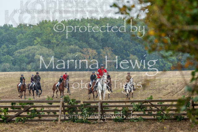 Jagd Perdoel_MarinaHewigMCH04104 | Fotografie, FotoArt, PferdesportArt, Pferdesportfotografie, Landschaftsfotografie, Reisefotografie, Reise, Pferde - Realisiert mit Pictrs.com