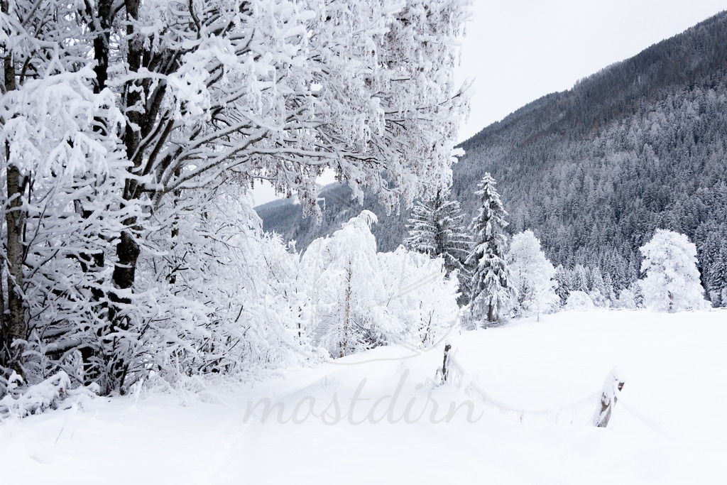 Winterwonderland Thomatal | Ihre Fotografin im Lungau, ihre Fotografin im Mostviertel, Wandbilder Onlineshop, Imagefotos für Ihr Unternehmen,  - Realisiert mit Pictrs.com