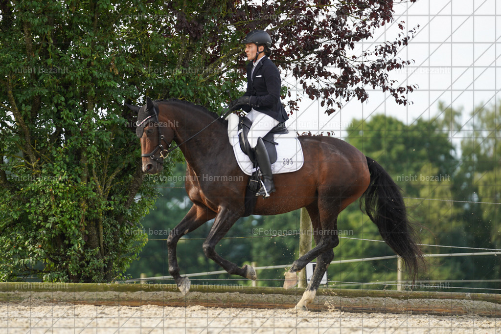 20230826-FAH04501 | Forstinning, 2023, Dressurturnier, Turniersportbilder, Turnierfotografen Bayern, Fotoagentur Herrmann, Reitsportfotografie, Turnierbilder