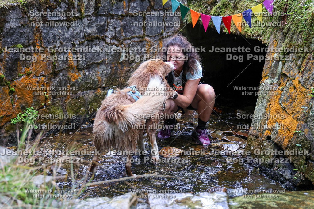 Dog Paparazzi -  TH 26-551 | Dog Paparazzi Jeanette Grottendiek Fotografie & Videografie - Realisiert mit Pictrs.com