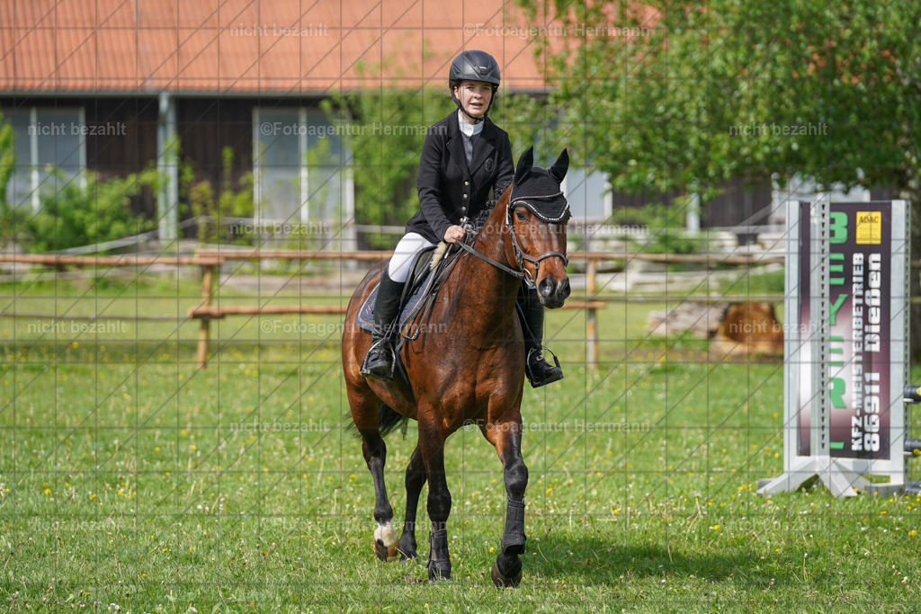 20240509-FAH02223 | Turnierbilder der Turnierfotografen Bayern, Pferdesport Fotografie, Reitsportbilder, Turnier Landberg am Lech, Turnierbilder bayern, Fotoagentur Herrmann