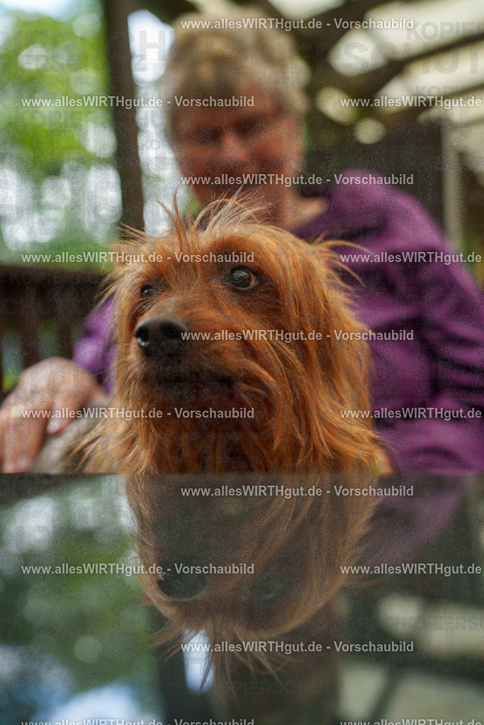 @allesWIRTHgut_Tierfotografie - www.allesWIRTHgut.de - 111525-7R508442 | Professionelle Tierfotografie in Mönchengladbach von Daniel Wirth (allesWIRTHgut). Liebevolle & natürliche Bilder von Hunden & Katzen für unvergessliche Erinnerungen.