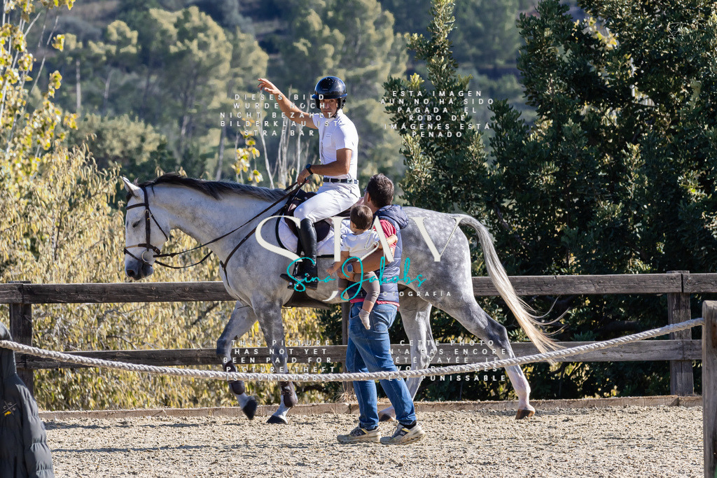 IMG_9953 | s-jay-photography - Realisiert mit Pictrs.com