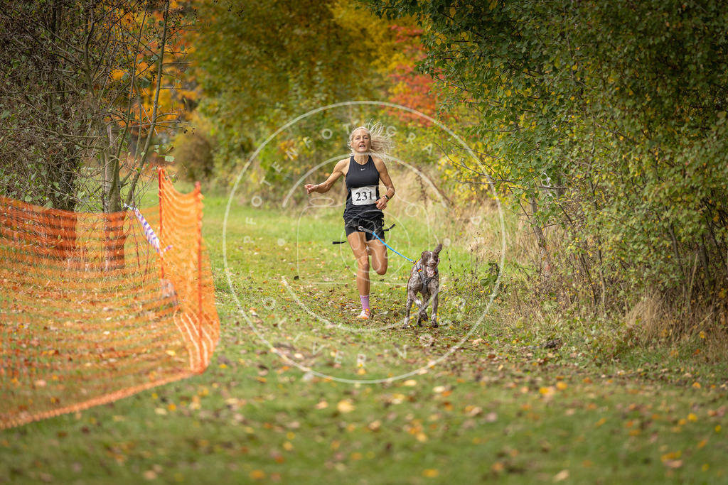 Pfotenfotografie_DV3A4450 | Hundefotografie, Tierfotograf, Pfotenfotografie, Fotoshooting Hund, Hunde Portrait, Hundesport, Hundeportraits, Heideshooting, Hunde, Sportfotograf, Hundefotograf, Turnierhundsport, THS,  - Realisiert mit Pictrs.com